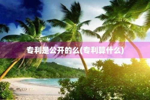 专利是公开的么(专利算什么)