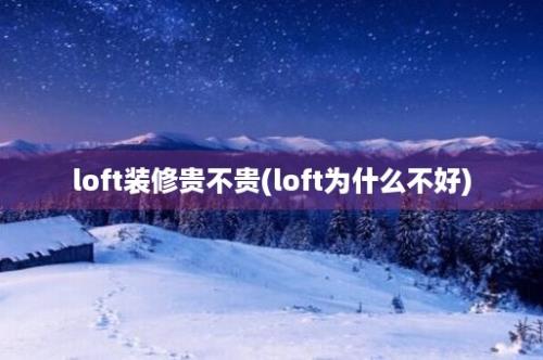 loft装修贵不贵(loft为什么不好)