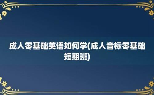 成人零基础英语如何学(成人音标零基础短期班)