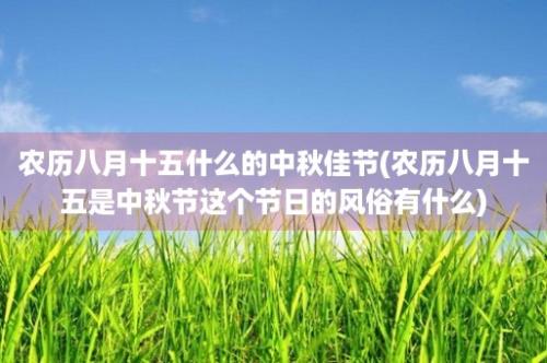 农历八月十五什么的中秋佳节(农历八月十五是中秋节这个节日的风俗有什么)