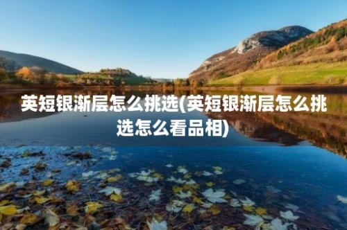 英短银渐层怎么挑选(英短银渐层怎么挑选怎么看品相)