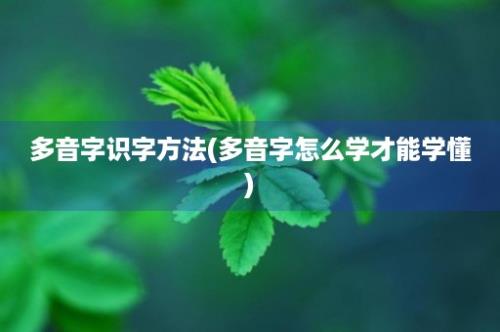 多音字识字方法(多音字怎么学才能学懂)