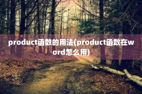 product函数的用法(product函数在word怎么用)