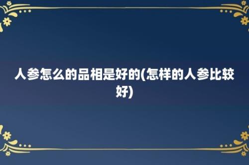 人参怎么的品相是好的(怎样的人参比较好)