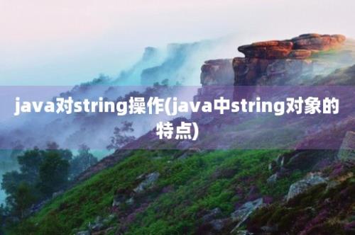 java对string操作(java中string对象的特点)