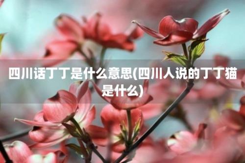 四川话丁丁是什么意思(四川人说的丁丁猫是什么)