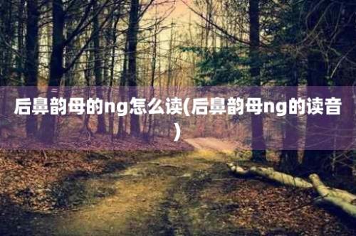 后鼻韵母的ng怎么读(后鼻韵母ng的读音)