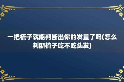 一把梳子就能判断出你的发量了吗(怎么判断梳子吃不吃头发)