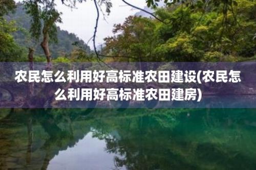 农民怎么利用好高标准农田建设(农民怎么利用好高标准农田建房)