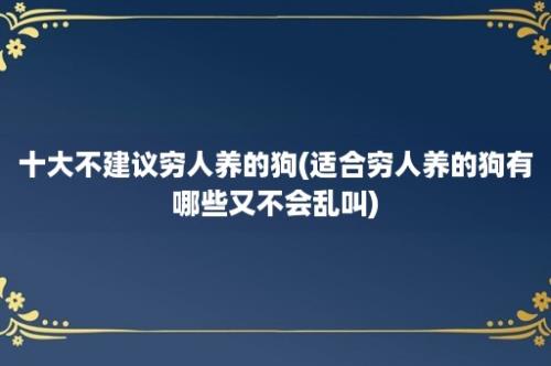 十大不建议穷人养的狗(适合穷人养的狗有哪些又不会乱叫)