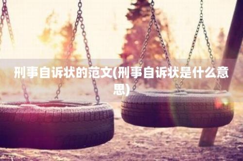 刑事自诉状的范文(刑事自诉状是什么意思)