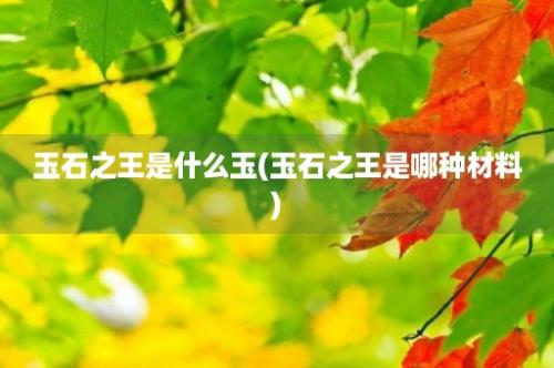 玉石之王是什么玉(玉石之王是哪种材料)