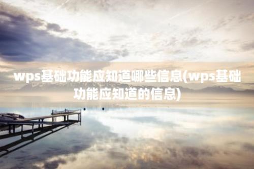 wps基础功能应知道哪些信息(wps基础功能应知道的信息)