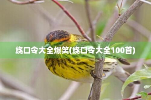 绕口令大全爆笑(绕口令大全100首)