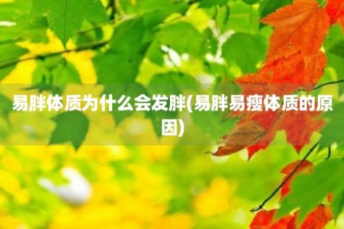 易胖体质为什么会发胖(易胖易瘦体质的原因)