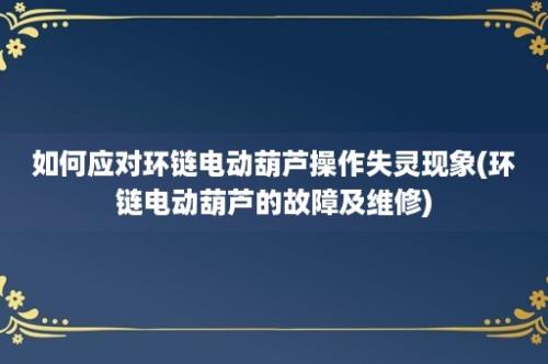 如何应对环链电动葫芦操作失灵现象(环链电动葫芦的故障及维修)