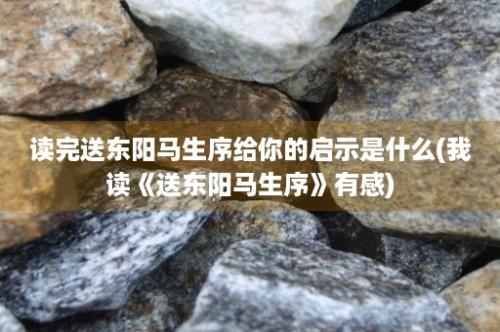 读完送东阳马生序给你的启示是什么(我读《送东阳马生序》有感)