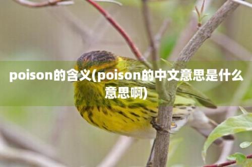 poison的含义(poison的中文意思是什么意思啊)