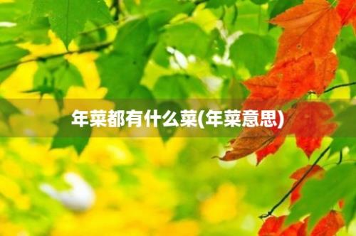 年菜都有什么菜(年菜意思)