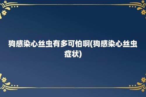 狗感染心丝虫有多可怕啊(狗感染心丝虫症状)