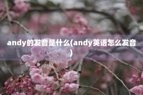 andy的发音是什么(andy英语怎么发音)