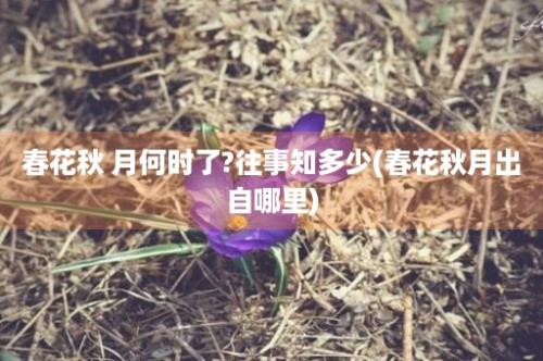 春花秋 月何时了?往事知多少(春花秋月出自哪里)