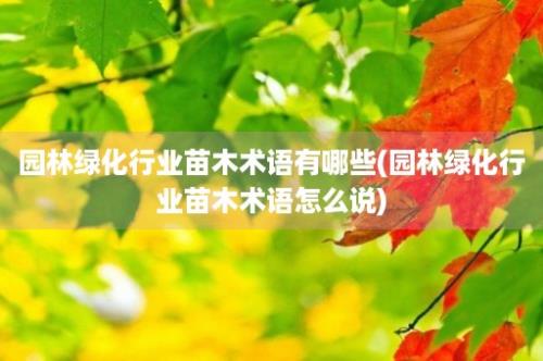 园林绿化行业苗木术语有哪些(园林绿化行业苗木术语怎么说)