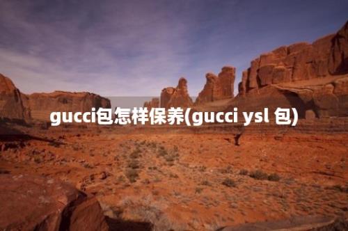 gucci包怎样保养(gucci ysl 包)