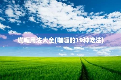 咖喱用法大全(咖喱的19种吃法)