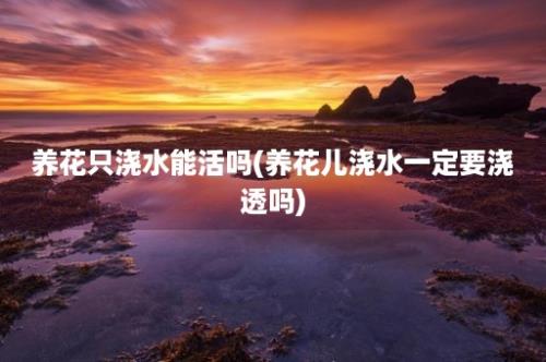 养花只浇水能活吗(养花儿浇水一定要浇透吗)