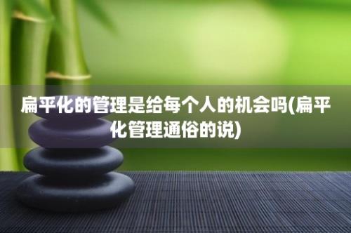 扁平化的管理是给每个人的机会吗(扁平化管理通俗的说)