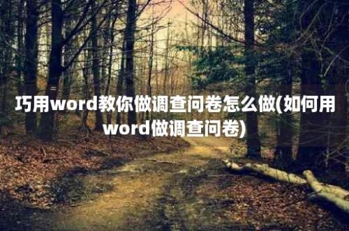 巧用word教你做调查问卷怎么做(如何用word做调查问卷)