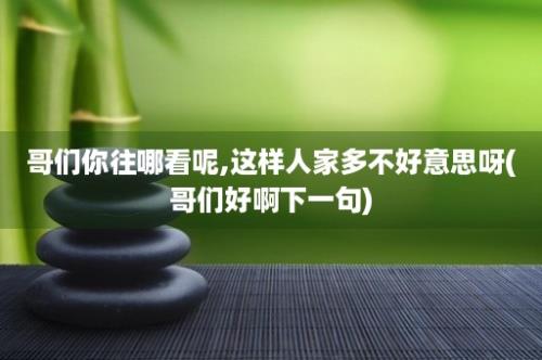 哥们你往哪看呢,这样人家多不好意思呀(哥们好啊下一句)