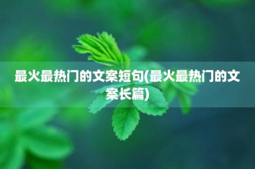 最火最热门的文案短句(最火最热门的文案长篇)