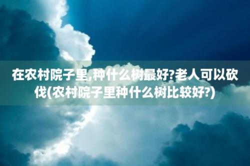 在农村院子里,种什么树最好?老人可以砍伐(农村院子里种什么树比较好?)