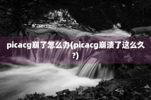 picacg崩了怎么办(picacg崩溃了这么久?)