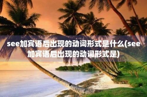 see加宾语后出现的动词形式是什么(see加宾语后出现的动词形式是)