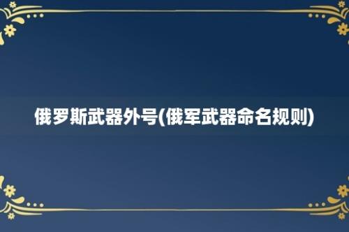 俄罗斯武器外号(俄军武器命名规则)