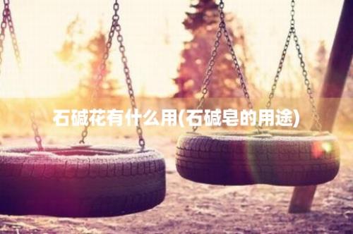 石碱花有什么用(石碱皂的用途)