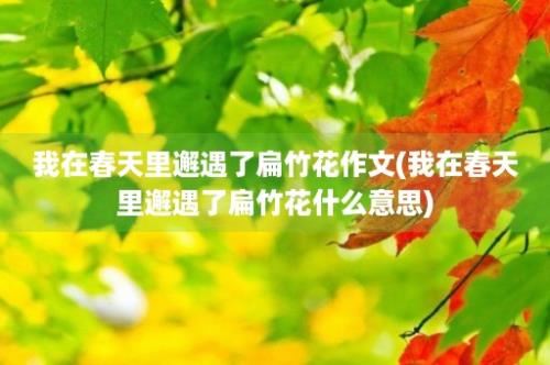 我在春天里邂遇了扁竹花作文(我在春天里邂遇了扁竹花什么意思)