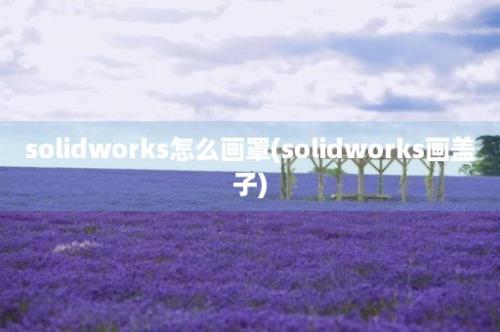 solidworks怎么画罩(solidworks画盖子)