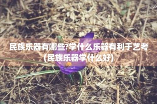 民族乐器有哪些?学什么乐器有利于艺考(民族乐器学什么好)