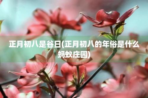 正月初八是谷日(正月初八的年俗是什么蚂蚁庄园)