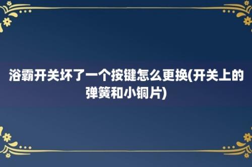 浴霸开关坏了一个按键怎么更换(开关上的弹簧和小铜片)