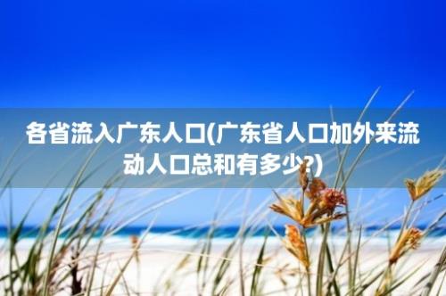 各省流入广东人口(广东省人口加外来流动人口总和有多少?)