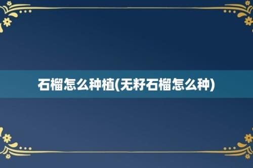 石榴怎么种植(无籽石榴怎么种)