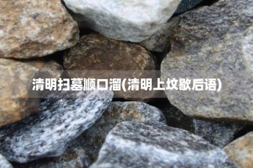 清明扫墓顺口溜(清明上坟歇后语)