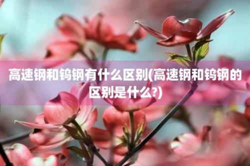 高速钢和钨钢有什么区别(高速钢和钨钢的区别是什么?)