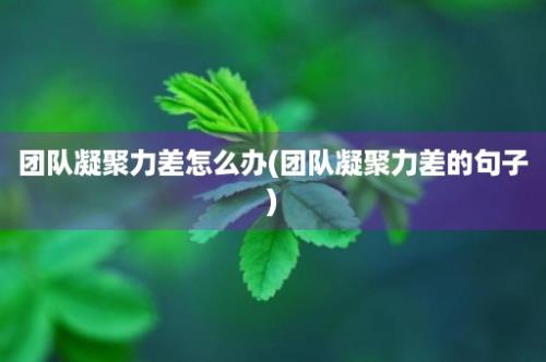 团队凝聚力差怎么办(团队凝聚力差的句子)