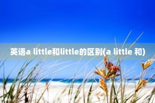 英语a little和little的区别(a little 和)